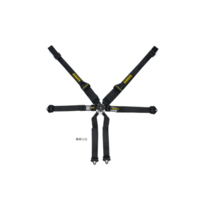 Schroth Profi III 6-Point FIA Racing Harness