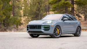 Porsche Cayenne (2015+) Softronic Performance Software